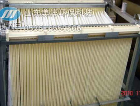 點擊查看詳細信息<br>標題：絲狀膜 閱讀次數(shù)：3056