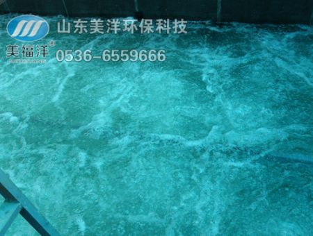 點擊查看詳細信息<br>標題：曝氣 閱讀次數(shù)：3255