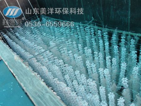 點擊查看詳細信息<br>標題：填料 閱讀次數(shù)：2972